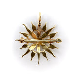 Victorian 14K Gold & Pearl Star Shaped Pendant Brooch Brooches, Pins Kirsten's Corner Jewelry