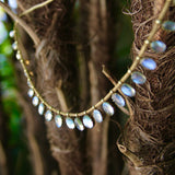 14K Gold Victorian Moonstone Fringe Necklace Necklace Kirsten's Corner