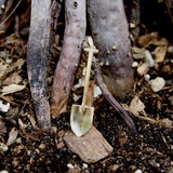 18K Gold Signature Shovel Charm or Pendant Kirsten's Corner