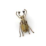 Victorian Gold Fill Beetle Brooch Brooch Kirsten's Corner