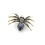 Victorian Paste Spider Brooch in Base Metal Kirsten's Corner