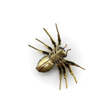 Victorian Paste Spider Brooch in Base Metal Kirsten's Corner