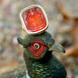 14K Gold Carnelian Intaglio Signet Ring M’Dowall Family Crest RING Kirsten's Corner