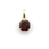 Tanzanian Octagon-Shaped Garnet in a 14K Gold Mount