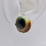 Victorian Operculum 10K Gold Earrings Earrings Kirsten's Corner