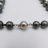 Single Strand of Large Tahitian South Sea Cultured Pearls with Sterling Silver Clasp Necklace Kirsten's Corner Jewelry