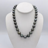 Single Strand of Large Tahitian South Sea Cultured Pearls with Sterling Silver Clasp Necklace Kirsten's Corner Jewelry