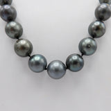 Single Strand of Large Tahitian South Sea Cultured Pearls with Sterling Silver Clasp Necklace Kirsten's Corner Jewelry