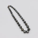 Single Strand of Large Tahitian South Sea Cultured Pearls with Sterling Silver Clasp Necklace Kirsten's Corner Jewelry