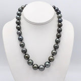 Single Strand of Large Tahitian South Sea Cultured Pearls with Sterling Silver Clasp Necklace Kirsten's Corner Jewelry