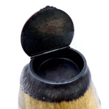 Victorian Rowland Ward Horse Hoof Match Safe & Strike Case Kirsten's Corner Jewelry