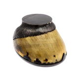 Victorian Rowland Ward Horse Hoof Match Safe & Strike Case Kirsten's Corner Jewelry