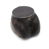 Victorian-Era Rowland Ward Horse Hoof Match Safe & Strike Case Kirsten's Corner Jewelry