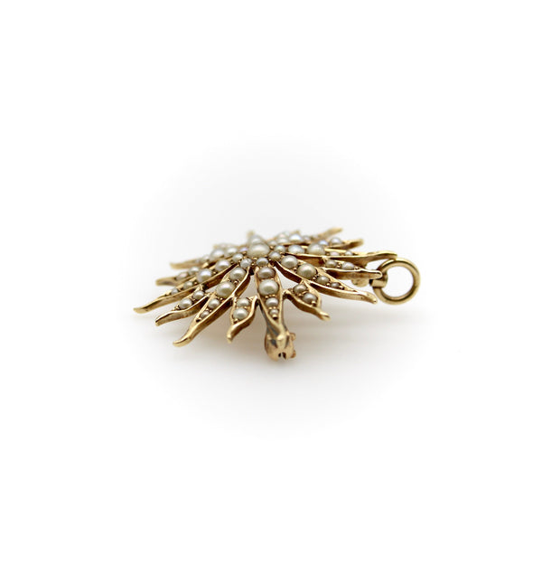 Victorian 14K Gold & Pearl Star Shaped Pendant Brooch Brooches, Pins Kirsten's Corner Jewelry 