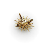 Victorian 14K Gold & Pearl Star Shaped Pendant Brooch Brooches, Pins Kirsten's Corner Jewelry 