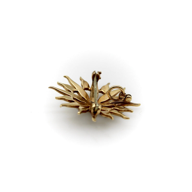 Victorian 14K Gold & Pearl Star Shaped Pendant Brooch Brooches, Pins Kirsten's Corner Jewelry 