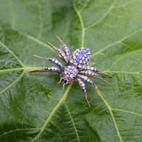 Victorian Paste Spider Brooch in Base Metal Kirsten's Corner 