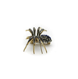 Victorian Paste Spider Brooch in Base Metal Kirsten's Corner 