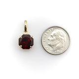 Tanzanian Octagon-Shaped Garnet in a 14K Gold Mount