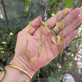 18K Gold Victorian French Alternating Link 24 3/4” Chain