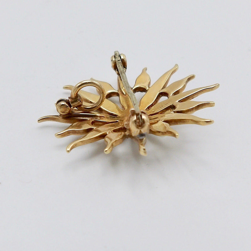 Late Victorian 14K Gold & Pearl Star Shaped Pendant Brooch Brooches, Pins Kirsten's Corner Jewelry 