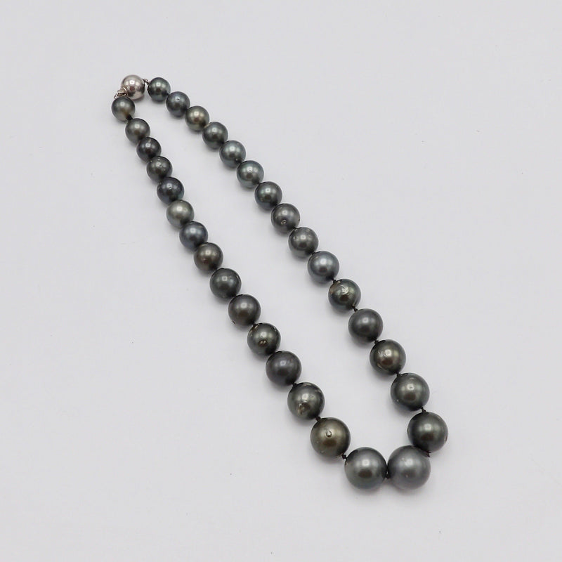 Single Strand of Large Tahitian South Sea Cultured Pearls with Sterling Silver Clasp Necklace Kirsten's Corner Jewelry 