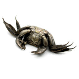 Articulated Bronze Meiji Era Okimono Crab Objects of Vertu Kirsten's Corner 